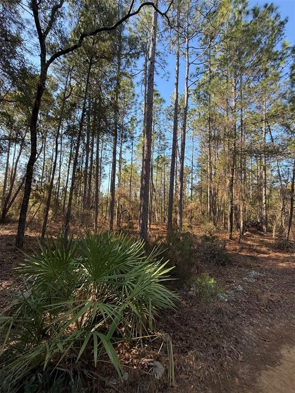 5th Way Interlachen, FL 32148 - Photo 6 of 12