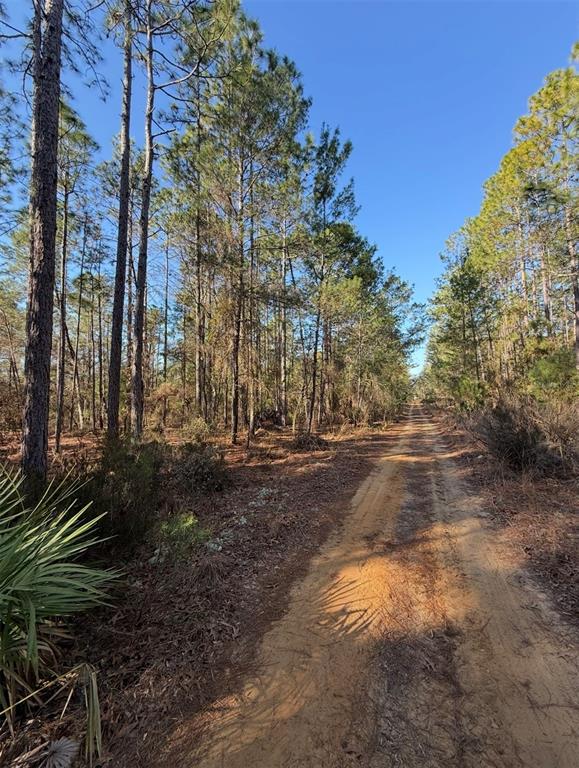 5th Way Interlachen, FL 32148 - Photo 7 of 12