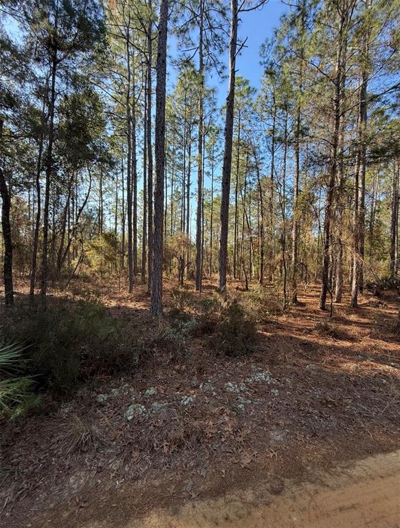 5th Way Interlachen, FL 32148 - Photo 8 of 12