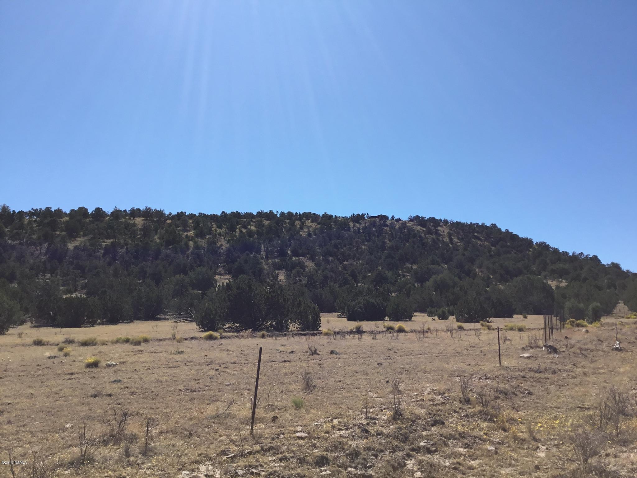 10884 South Mesa View Road Williams, AZ 86046 - Photo 10 of 10 8DC8AD5E-66F1-45E1-AF20-050235B9606C