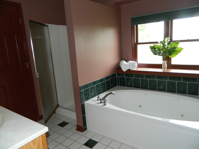 285 Rollin Road Somonauk, IL 60552 - Photo 12 of 25 a bathroom with a bathtub and shower