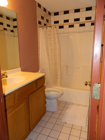 285 Rollin Road Somonauk, IL 60552 - Photo 17 of 25 a bathroom with a granite countertop sink toilet and shower