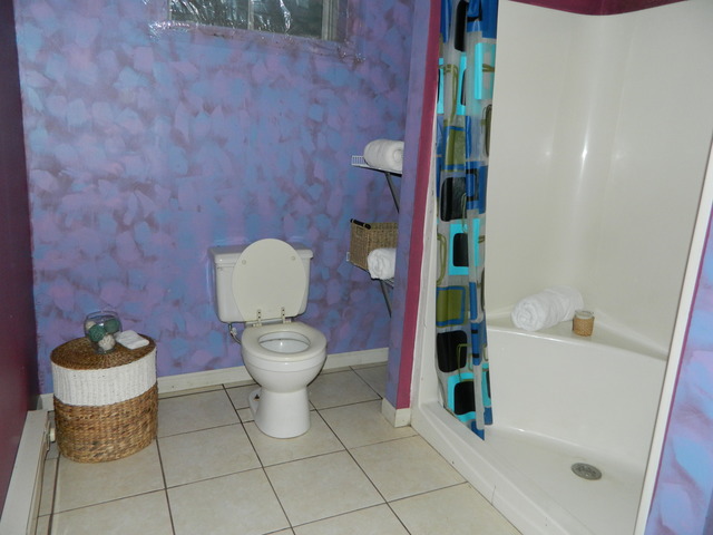 285 Rollin Road Somonauk, IL 60552 - Photo 23 of 25 a bathroom with a toilet and a shower