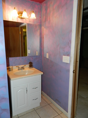 285 Rollin Road Somonauk, IL 60552 - Photo 24 of 25 a bathroom with a sink and a mirror