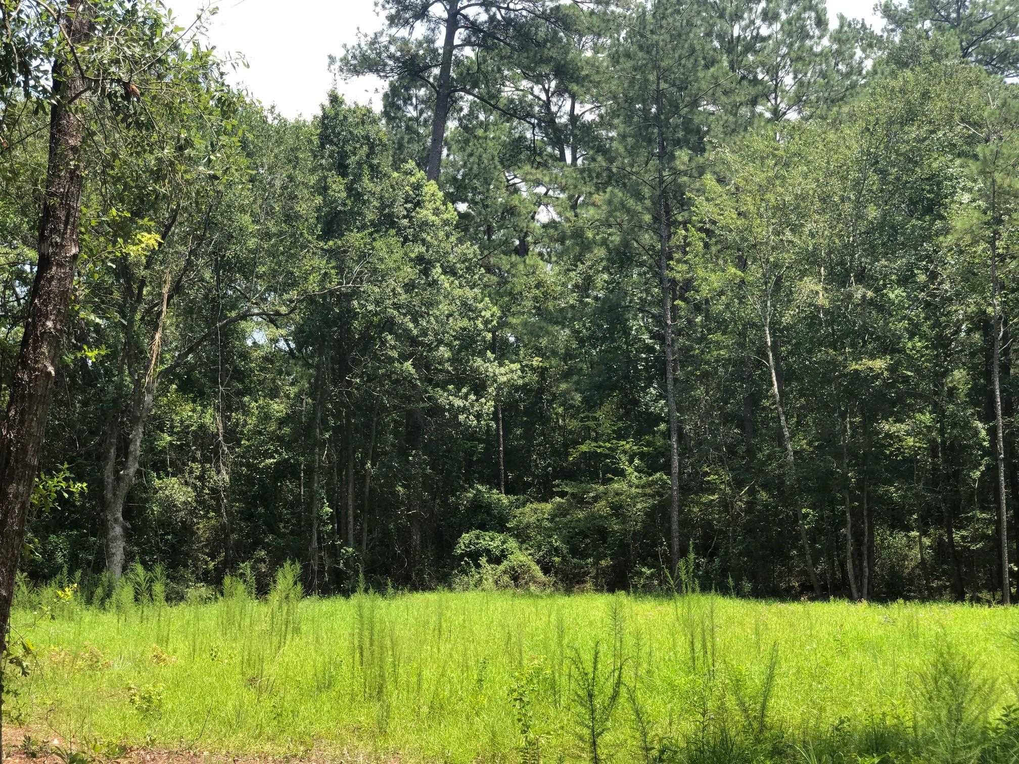 10280 Old Stage Road Stockton, AL 36579 - Photo 4 of 9
