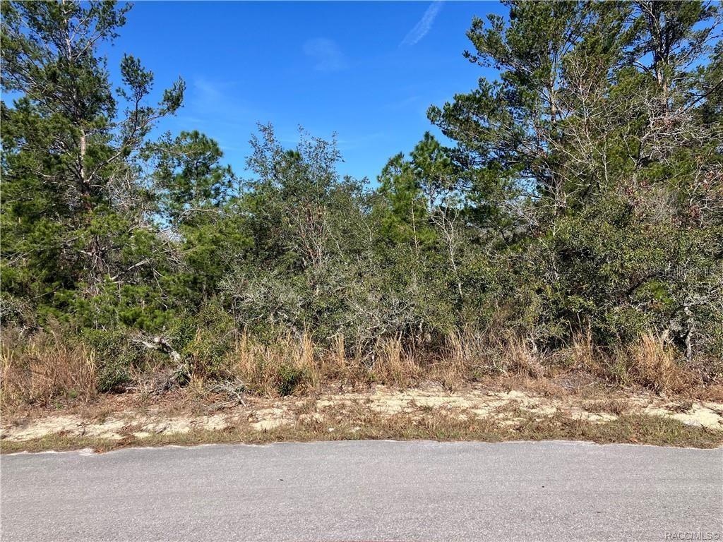 19 Rudbeckia Court Homosassa, FL 34446 - Photo 2 of 8