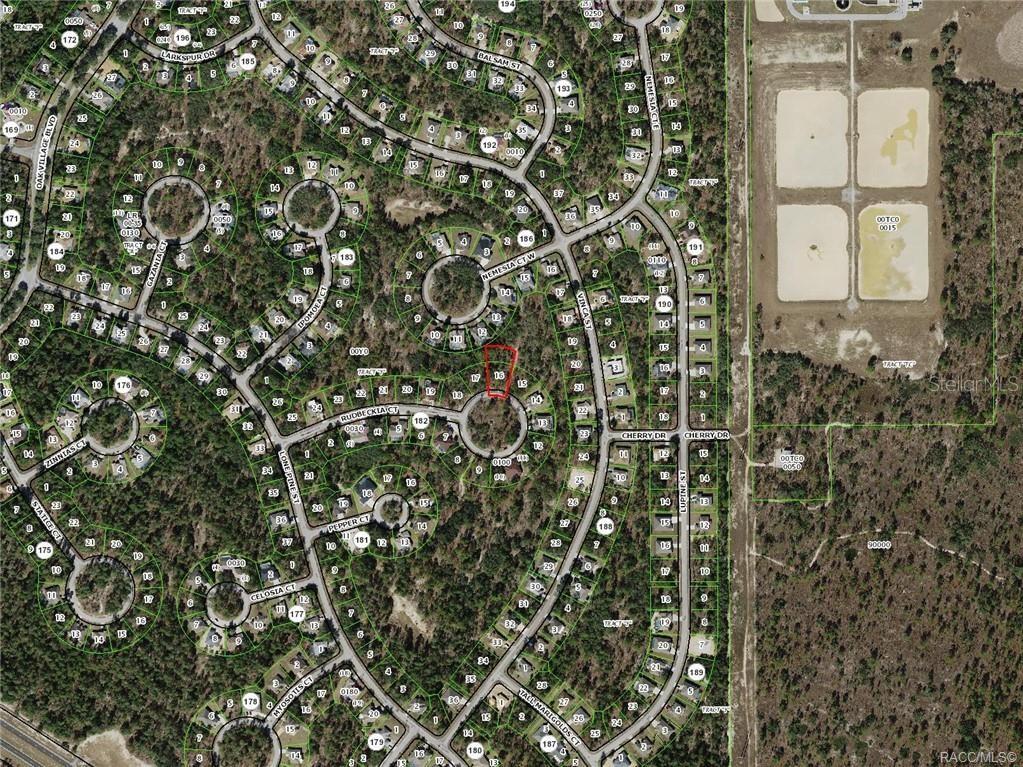 19 Rudbeckia Court Homosassa, FL 34446 - Photo 6 of 8