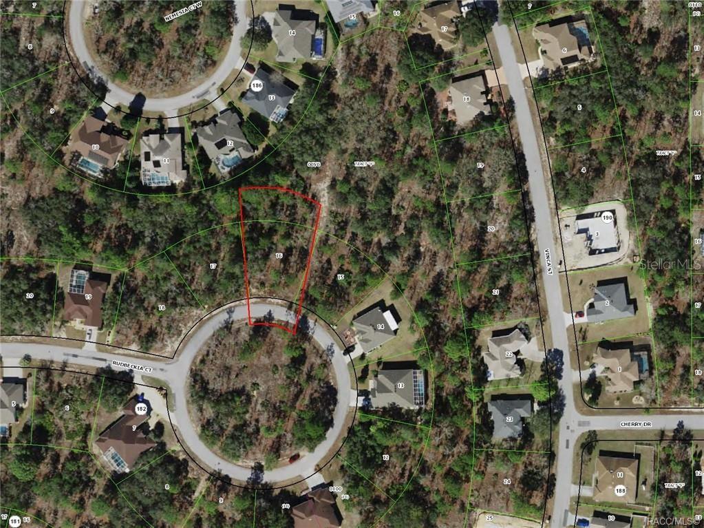 19 Rudbeckia Court Homosassa, FL 34446 - Photo 7 of 8