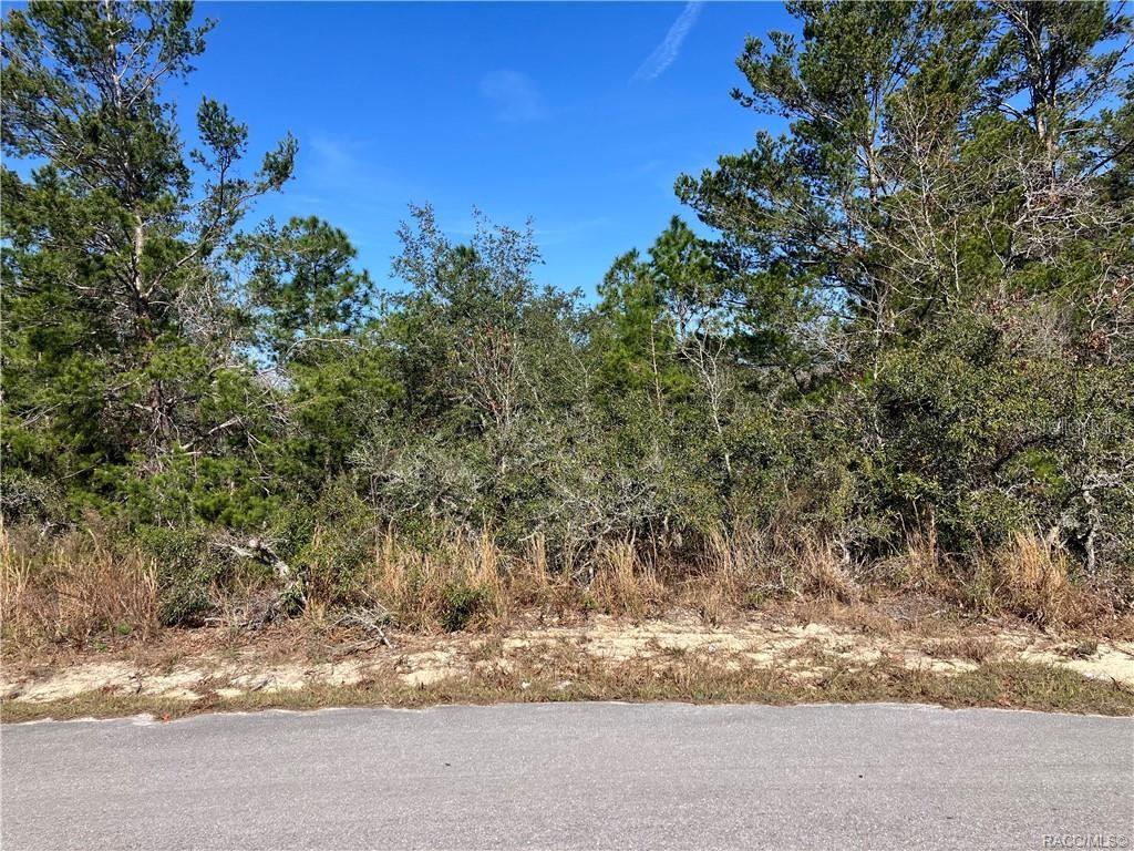 19 Rudbeckia Court Homosassa, FL 34446 - Photo 8 of 8