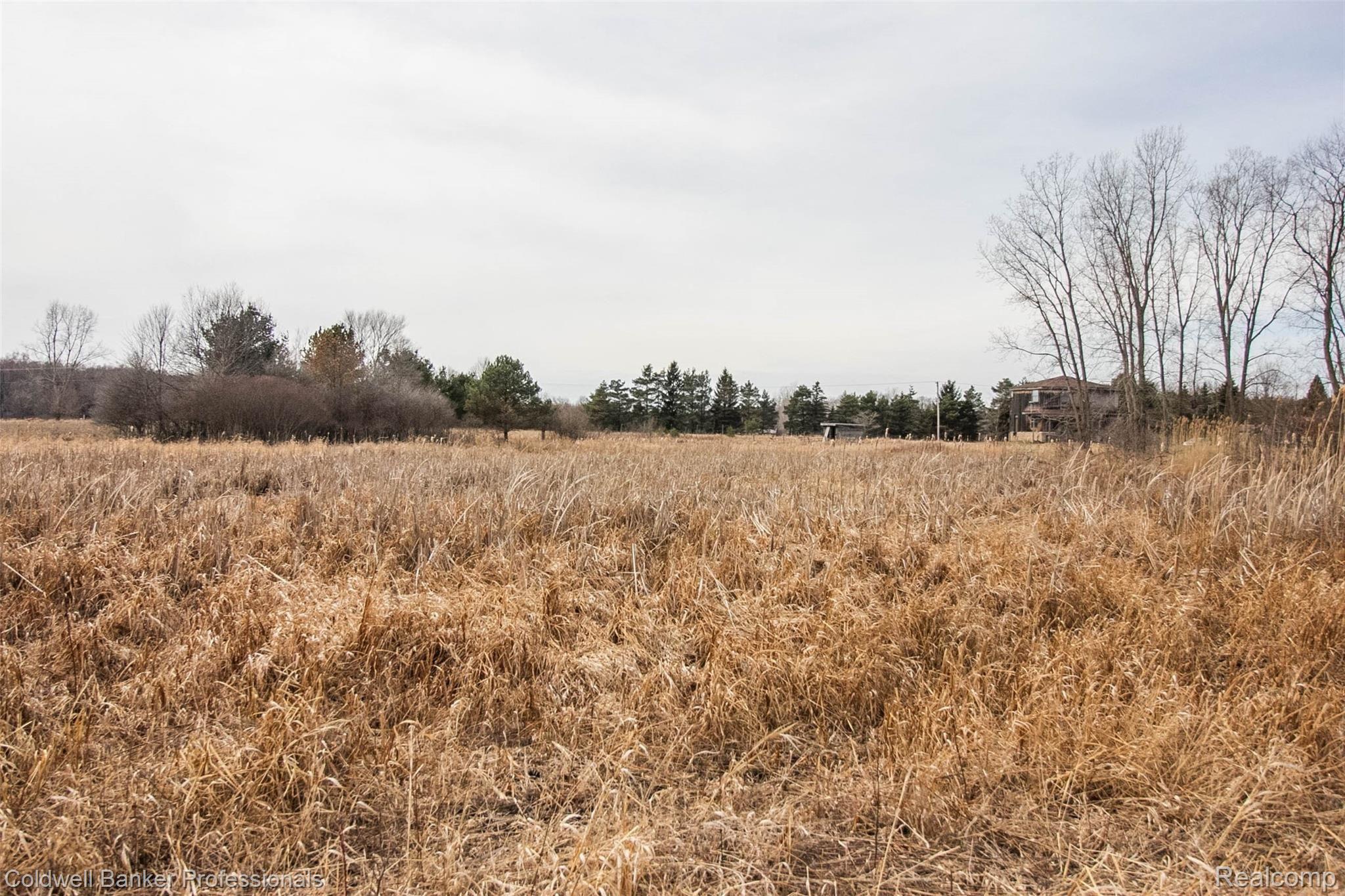 2350 Roods Lake Road Lapeer, MI 48446 - Photo 49 of 52 48.jpg
