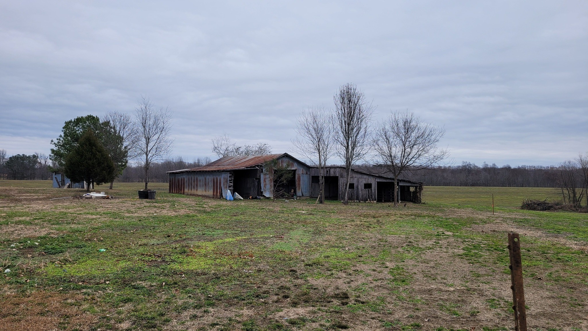 1016 Prosser Road Leoma, TN 38468 - Photo 4 of 10 a view of a house with a yard
