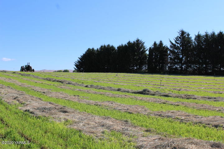2422 Blaine Road Zillah, WA 98953 - Photo 28 of 39 a view of a yard with a house