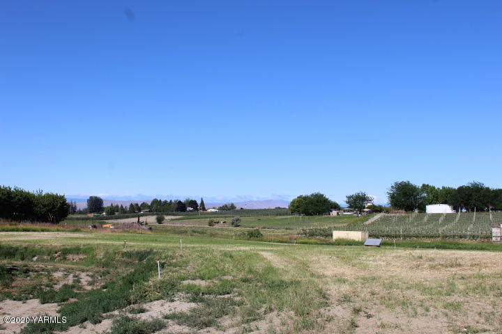2422 Blaine Road Zillah, WA 98953 - Photo 30 of 39 a view of a grassy field with trees