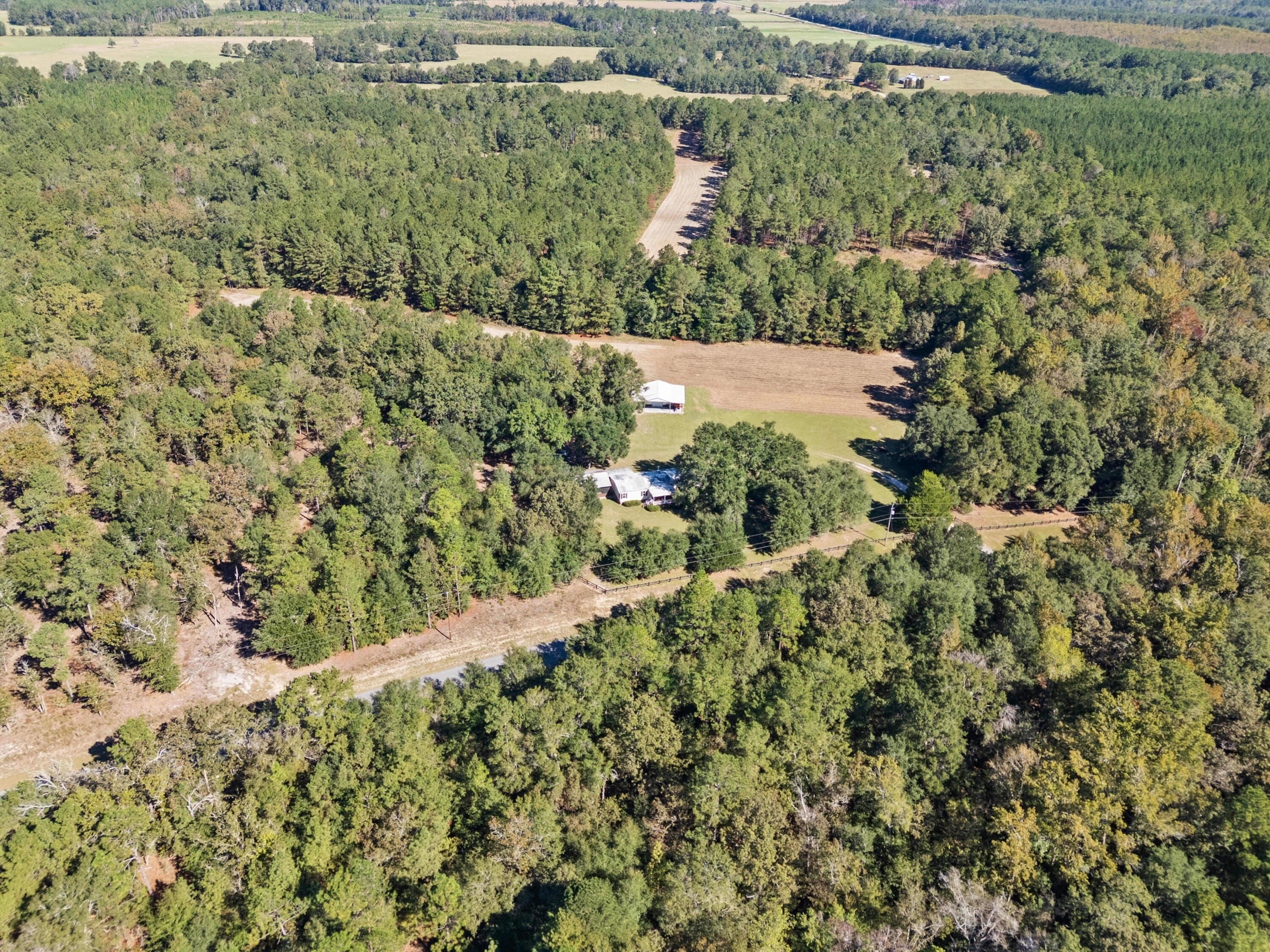 7901 State Rd S-6-169 Blackville, SC 29817 - Photo 82 of 89