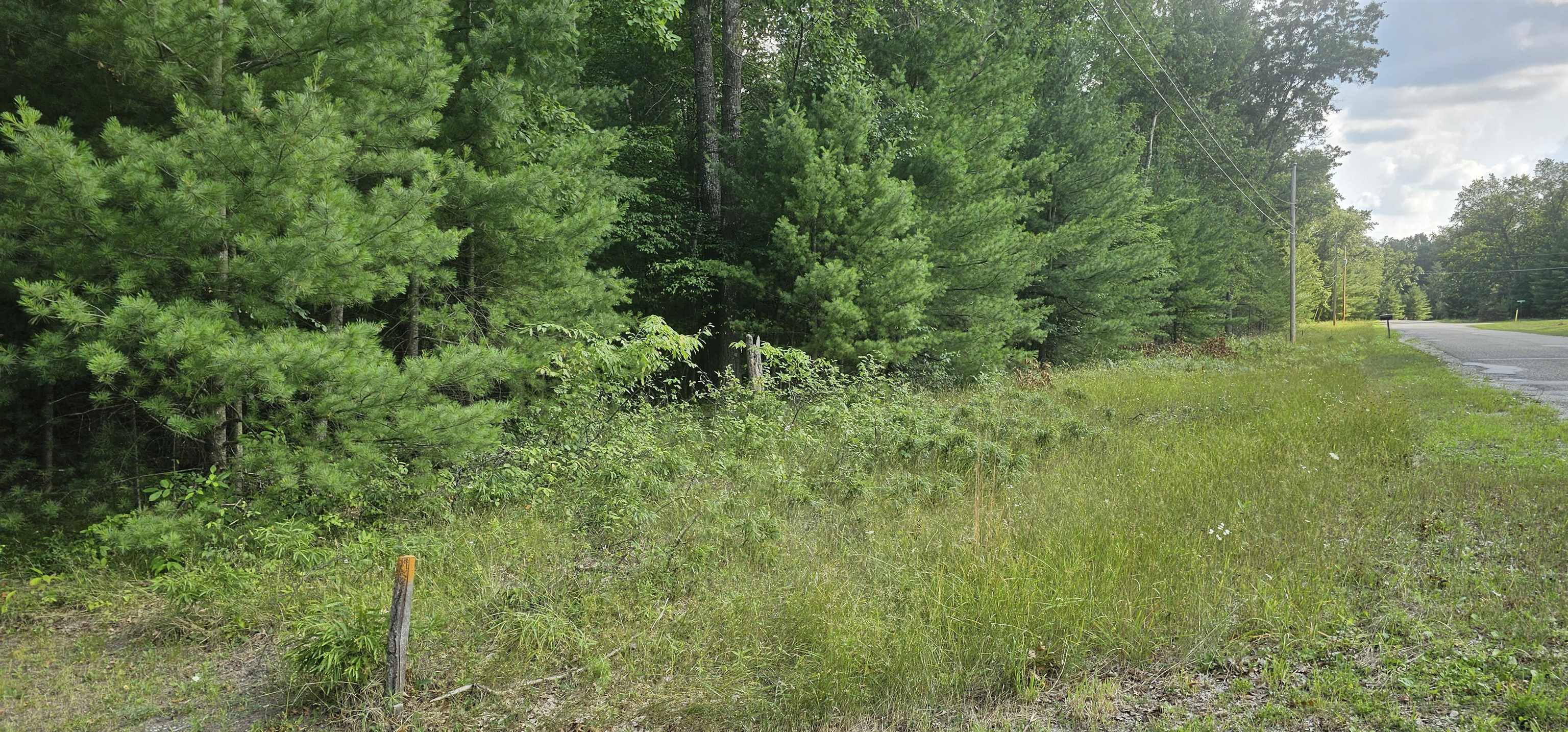 0 Wilderness Road Alger, MI 48610 - Photo 4 of 8