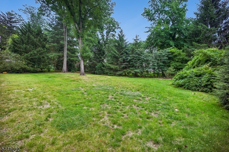 11 Wordsworth Road Short Hills, NJ 07078 - Photo 16 of 44