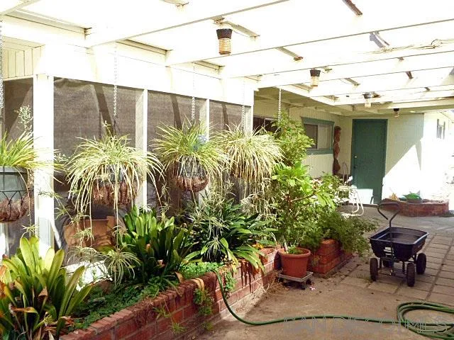 9236 Los Coches Road Lakeside, CA 92040 - Photo 24 of 27 a potted plant sitting in front of a house