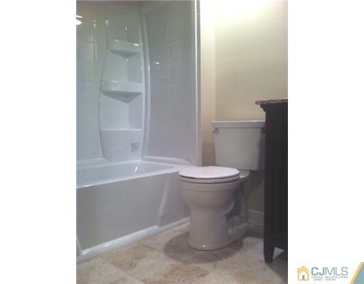 306 Raintree Court Helmetta, NJ 08828 - Photo 8 of 15 a bathroom with a toilet and a bathtub