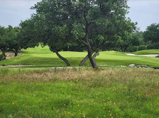 a view of backyard with green space