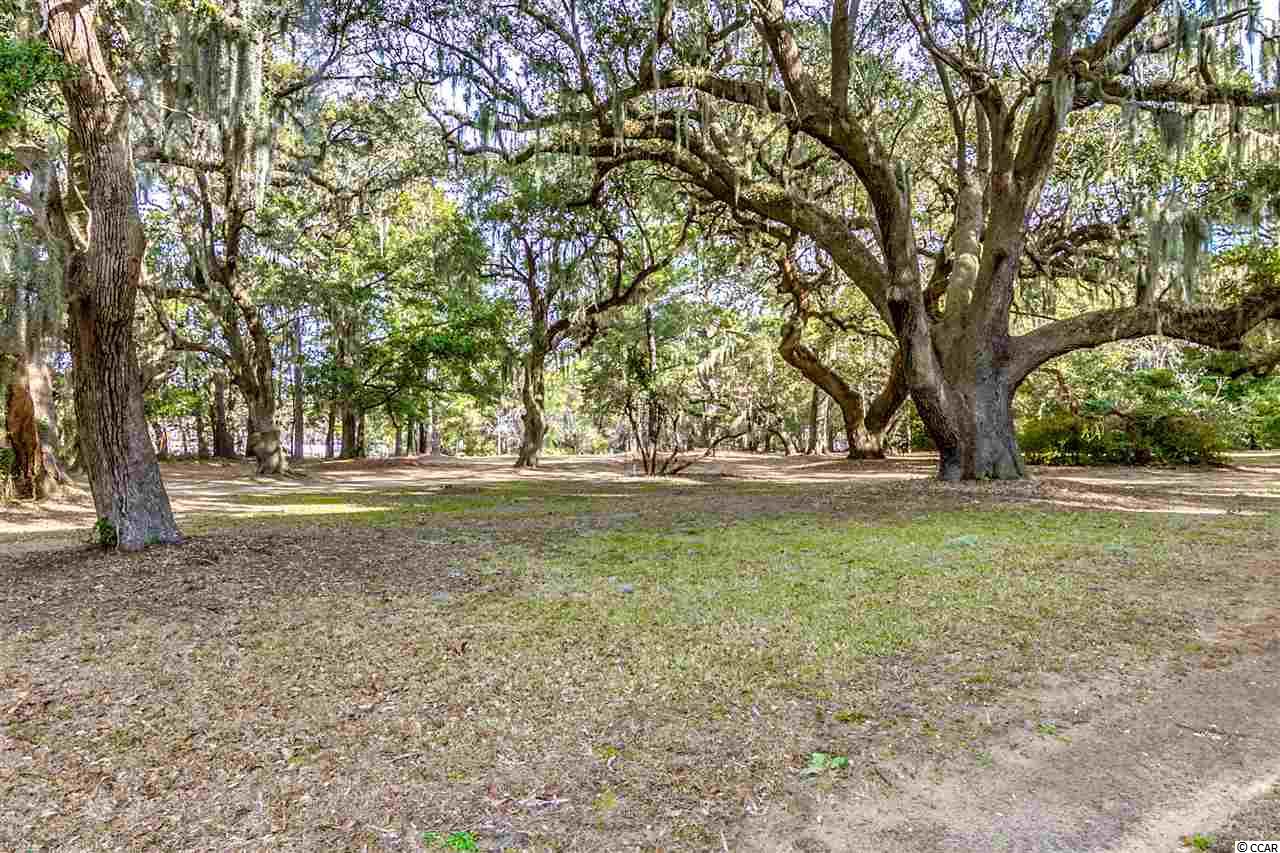 11 Flagg Street Murrells Inlet, SC 29576 - Photo 13 of 25