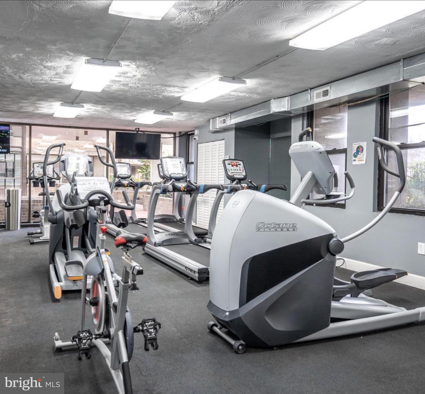 1836 Metzerott Road, Unit 903 Adelphi, MD 20783 - Photo 5 of 17