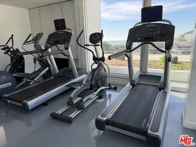 a view of a tree with lots of trees