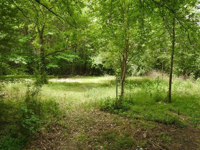 624 Layfield Road Coushatta, LA 71019 - Photo 4 of 15 Acreage