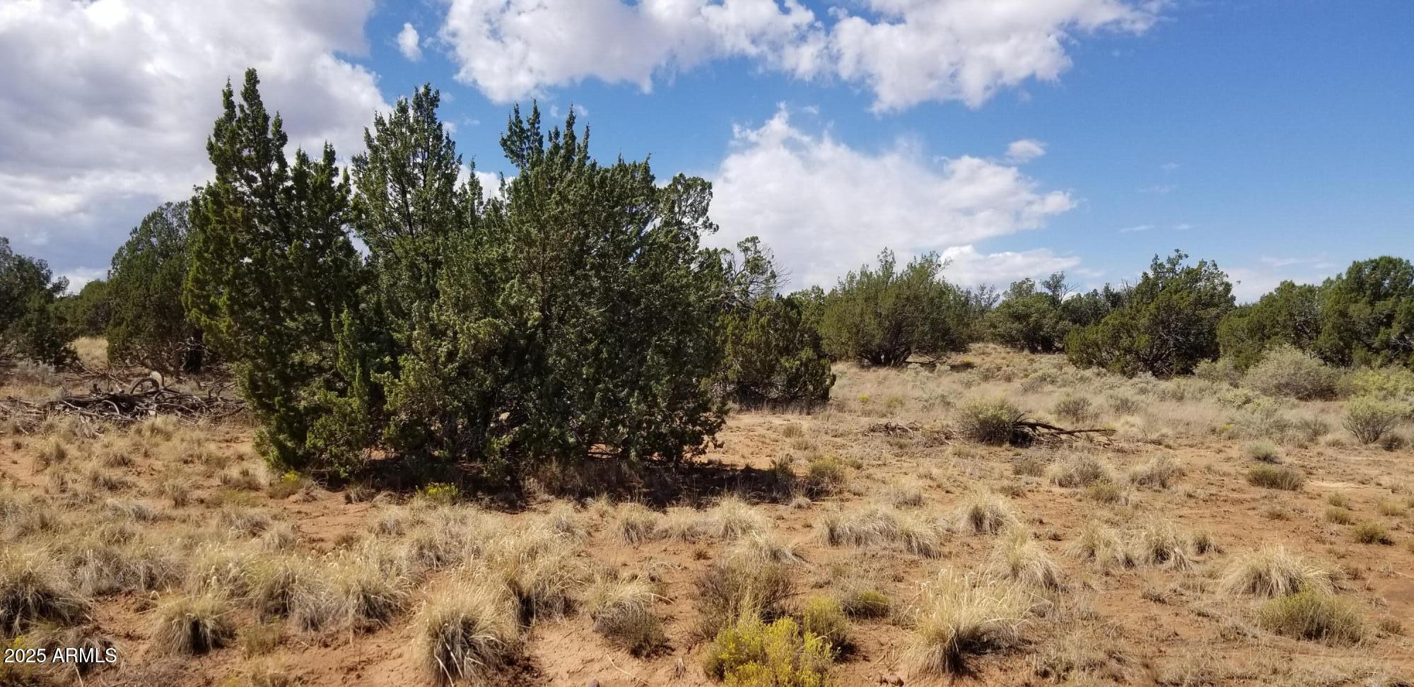 a view of a yard covered with snow