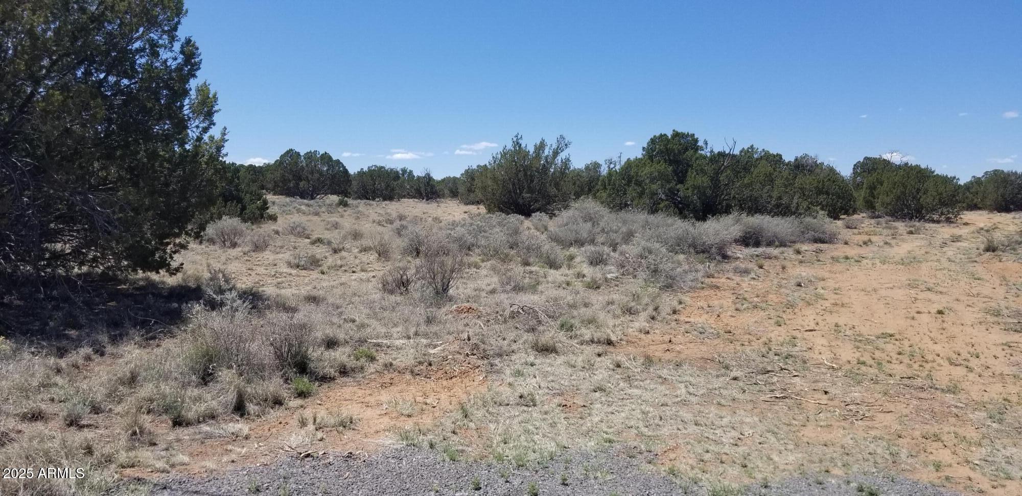 3908-71b Hidden Ranch Road, Unit 71B Snowflake, AZ 85937 - Photo 2 of 2 a view of a dry covered with lots of trees