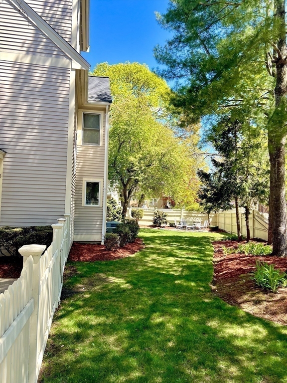 5 Rebecca Road Newton, MA 02465 - Photo 34 of 42 a view of a backyard with plants and large trees