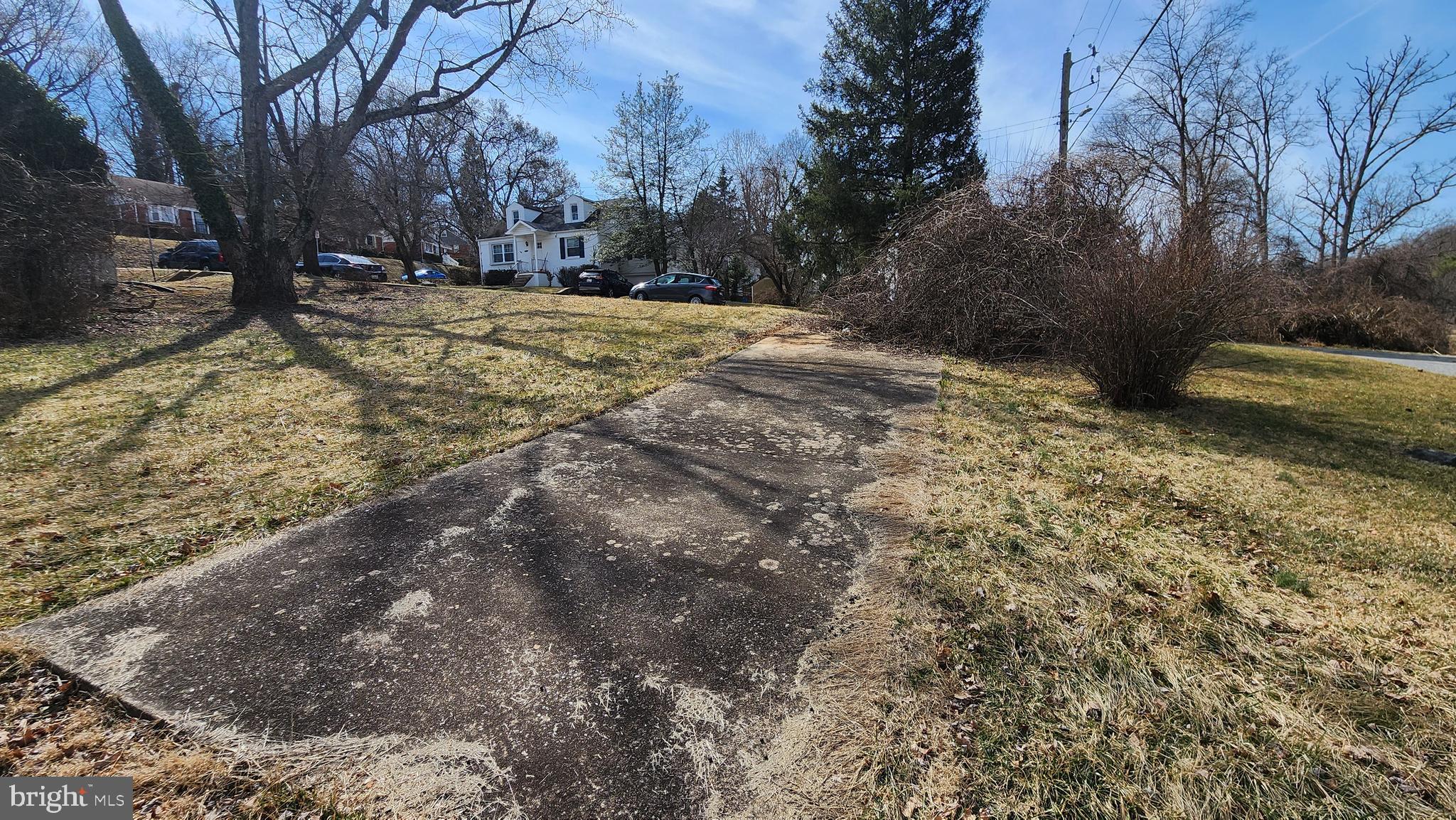 936 Olmstead Road Baltimore, MD 21208 - Photo 5 of 24 a view of empty yard with trees