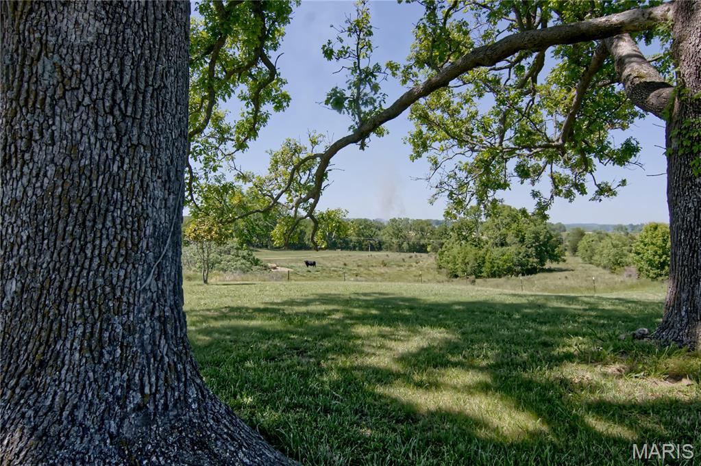 29828 Anthony Road Falcon, MO 65470 - Photo 41 of 43