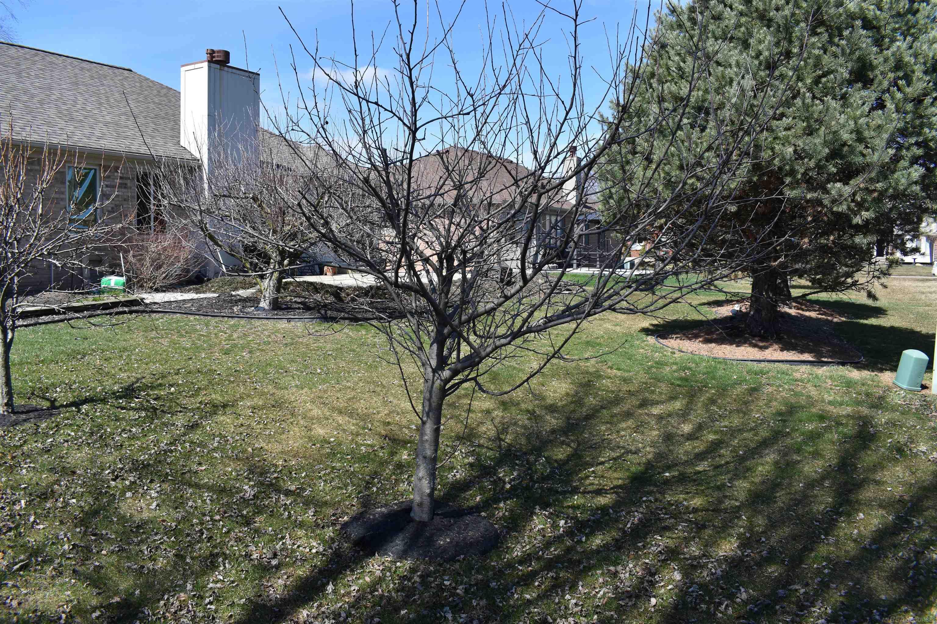 49242 Monte Road New Baltimore, MI 48047 - Photo 5 of 46