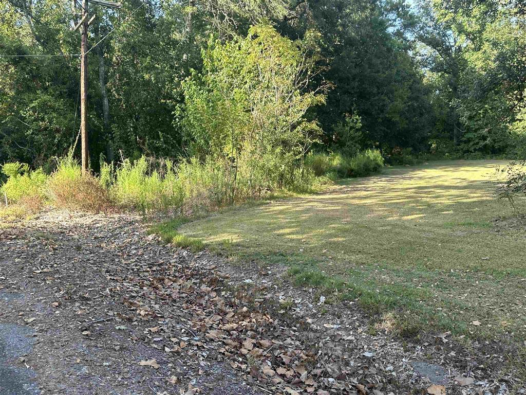4731 Phillip Corry Road Starks, LA 70661 - Photo 23 of 23 Gallery Image 23