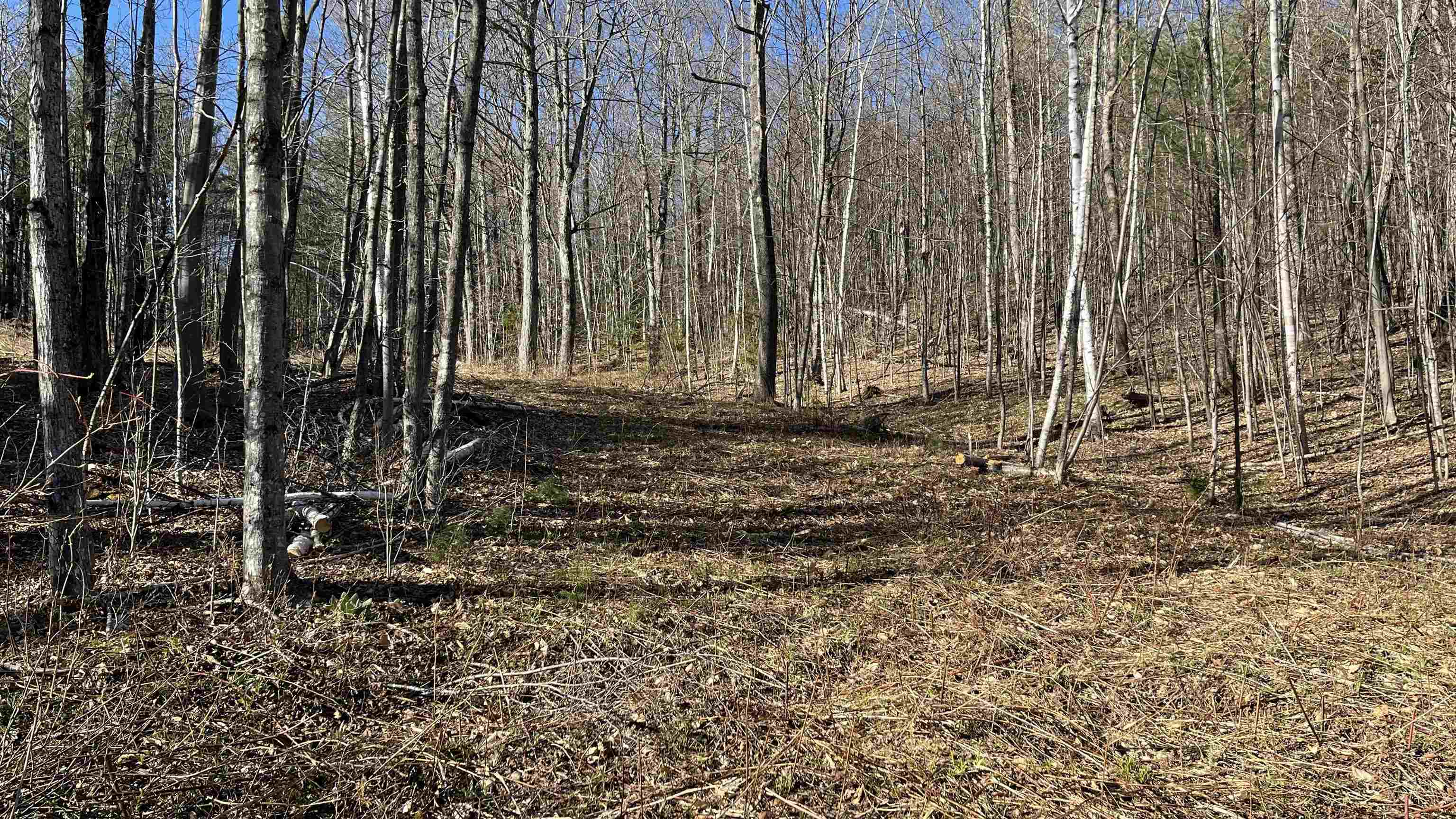Dix Hill Road, Unit 23 Ludlow, VT 05149 - Photo 26 of 28