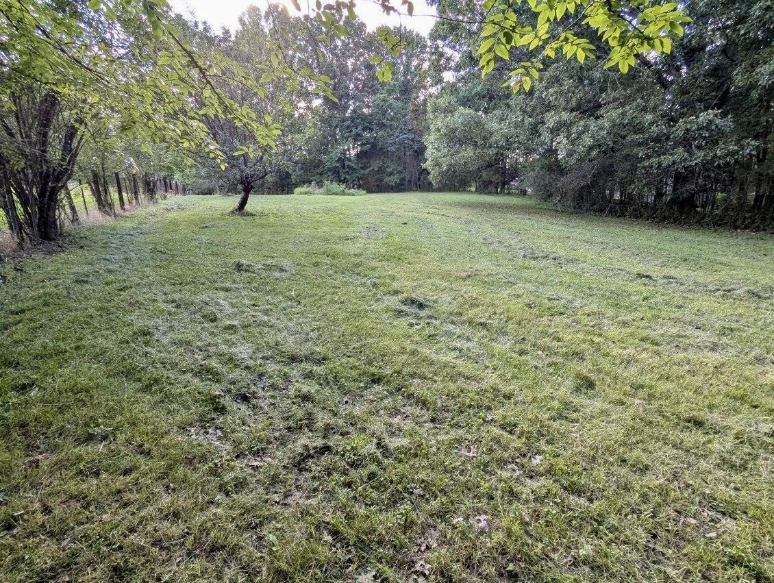 12525 Walnut Grove Road Collierville, TN 38017 - Photo 37 of 40