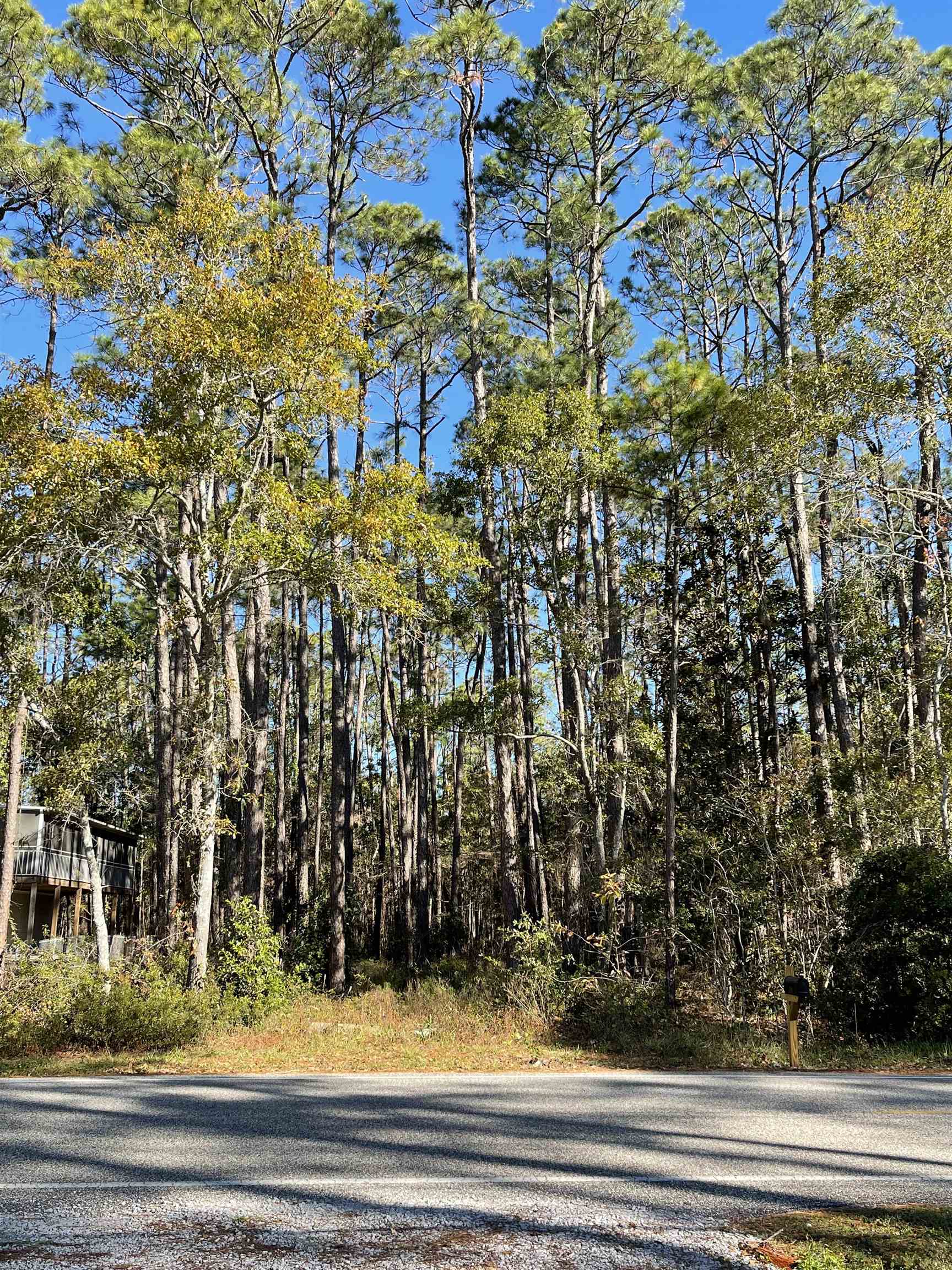 10790 County Road 1 Fairhope, AL 36532 - Photo 3 of 12