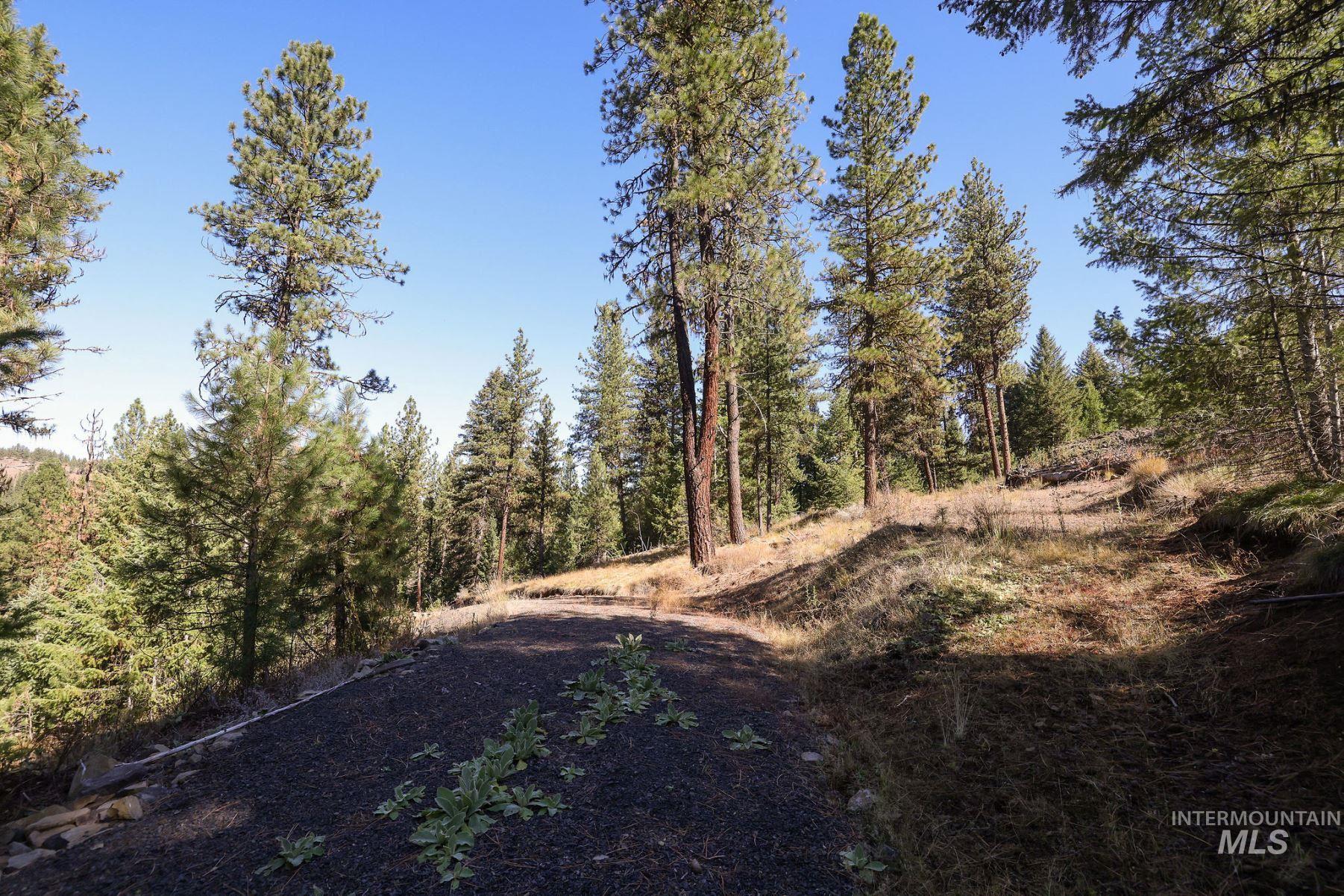 Lot 22 Rim Road New Meadows, ID 83654 - Photo 36 of 49