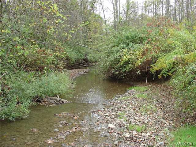 10100 Erie Road Brant, NY 14081 - Photo 1 of 1 Land