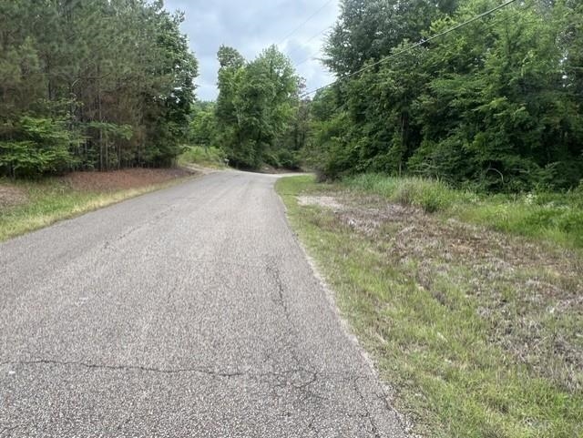 Burnett Mills Road Bolivar, TN 38008 - Photo 3 of 6
