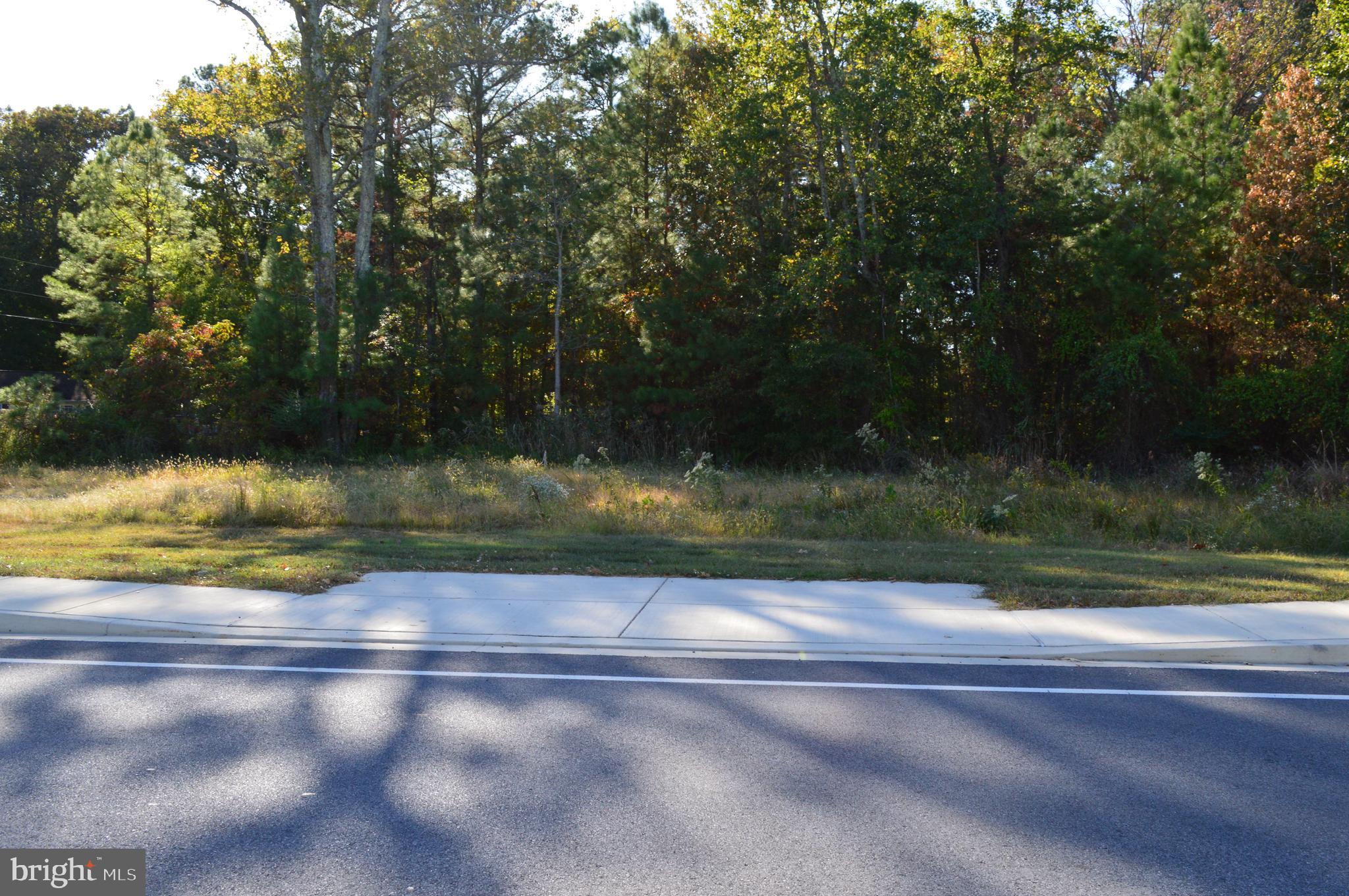 13675 Dowell Road Dowell, MD 20688 - Photo 1 of 2 a view of a yard
