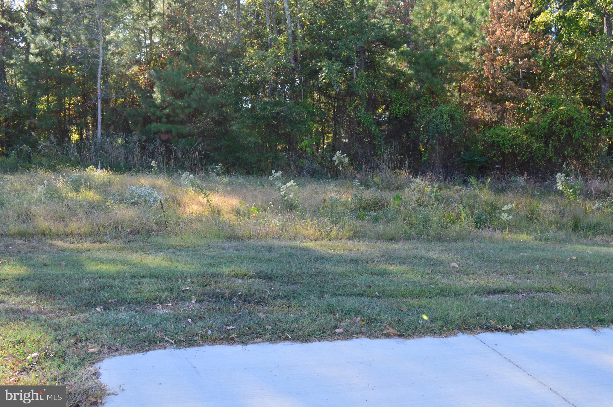 13675 Dowell Road Dowell, MD 20688 - Photo 2 of 2 a view of a yard