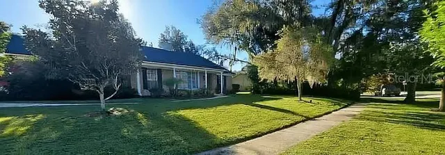 a view of a yard with plants and trees