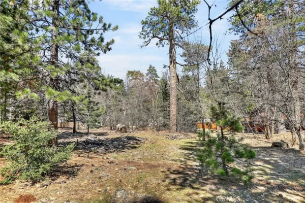 a view of outdoor space with trees