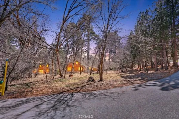 a view of road with trees
