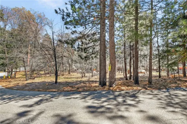 a backyard of a house with lots of trees