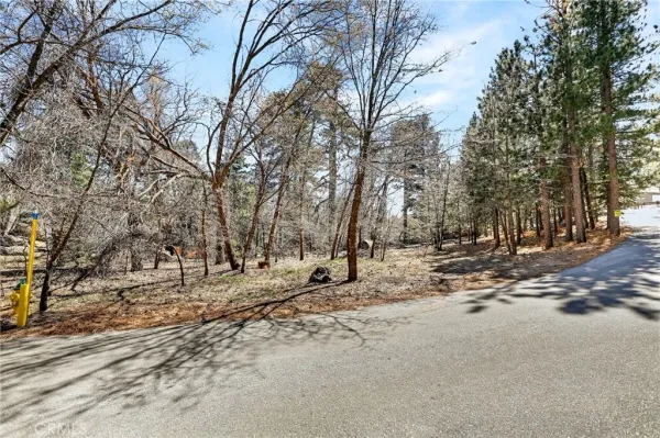 a view of road with trees