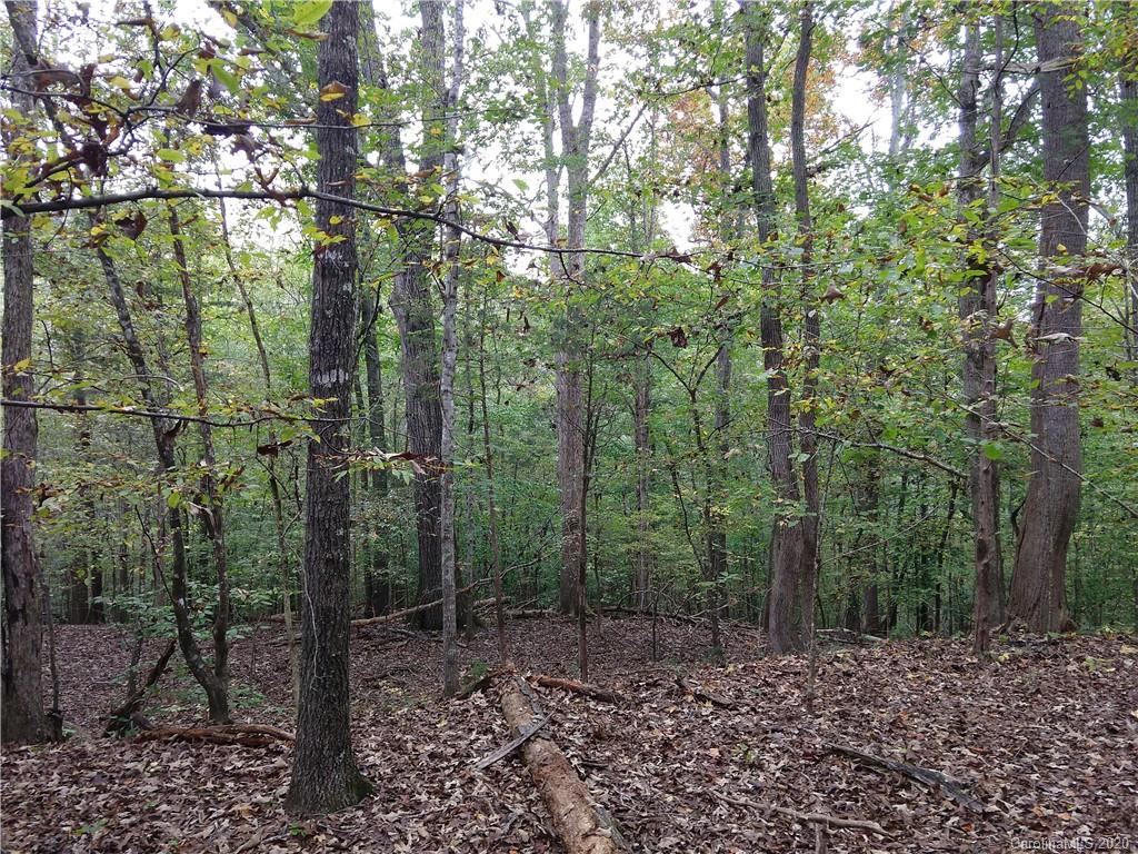 17 Red Rider Lane Smyrna, SC 29743 - Photo 2 of 3
