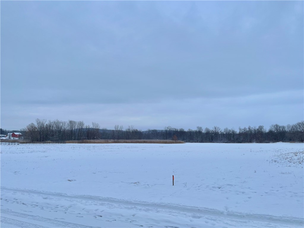 65 Perry Hill Road Rush, NY 14543 - Photo 3 of 3