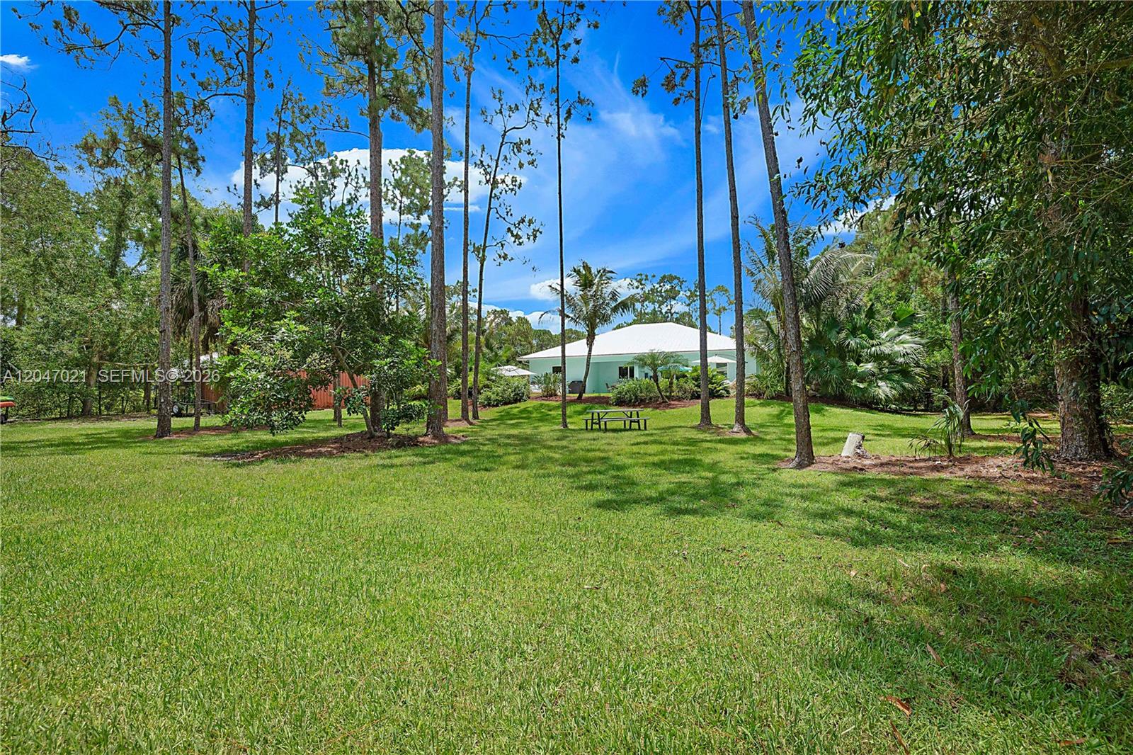12127 154th Road North Jupiter, FL 33478 - Photo 51 of 67 Lush Lawn with well irrigation system